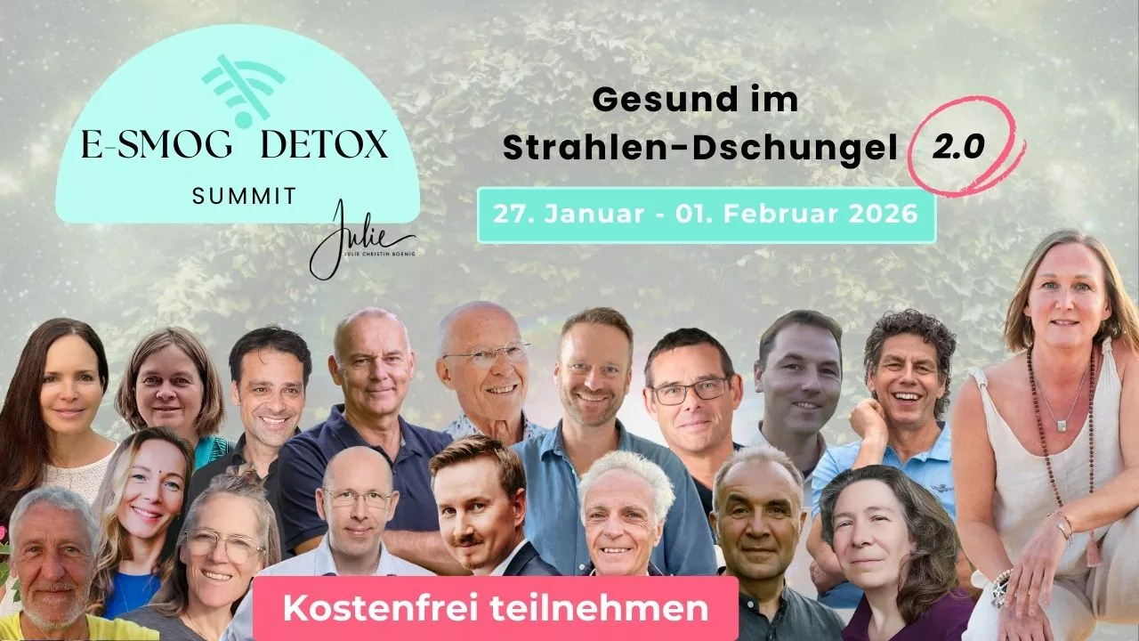 E-SMOG DETOX Summit – Elektrosmog, Gesundheit und innere Balance