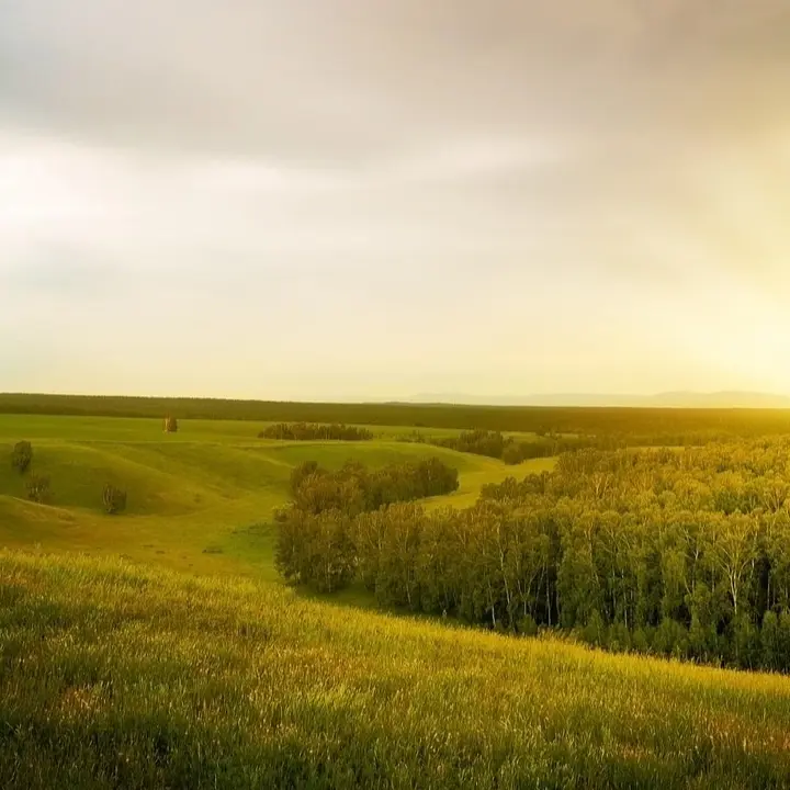 Wandel beobachten ohne Deutung Wandel beobachten ohne Deutung